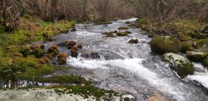 Rio Froufe