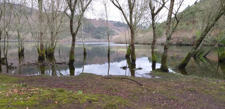 Perto do Parque de campismo