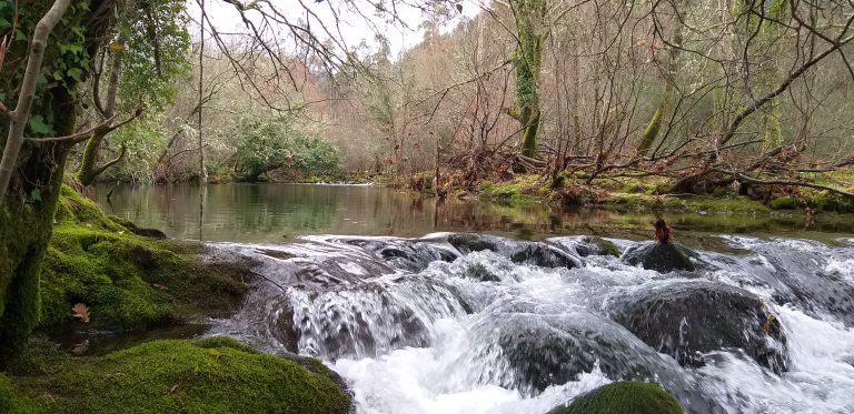 queda de água em são miguel