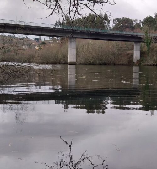 Ponte de Entre Ambos-os-Rios