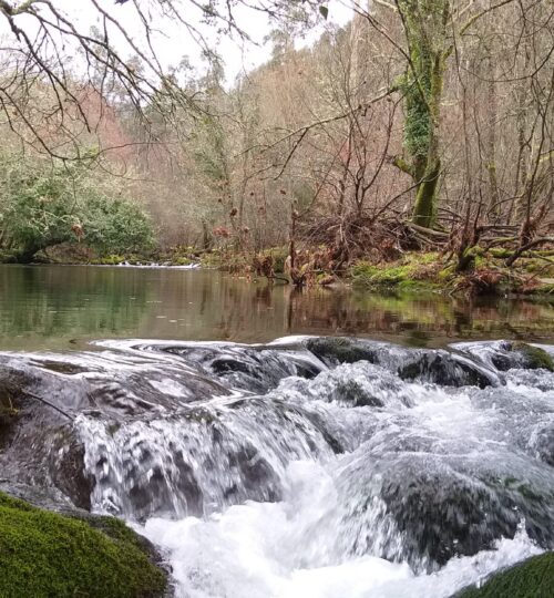 queda de água em são miguel